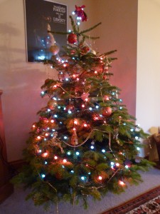 This year's tree - a much more manageable size!
