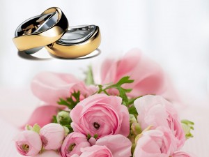 wedding-rings-